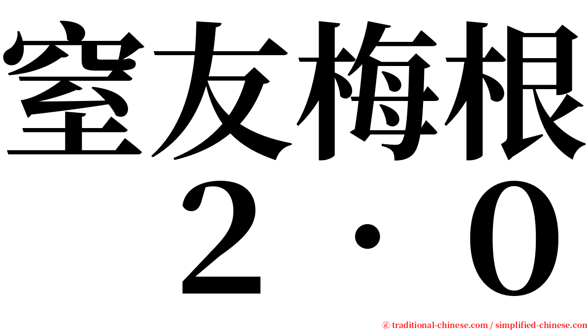 窒友梅根　２．０ serif font